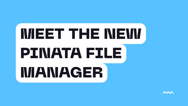 The New Pinata File Manager